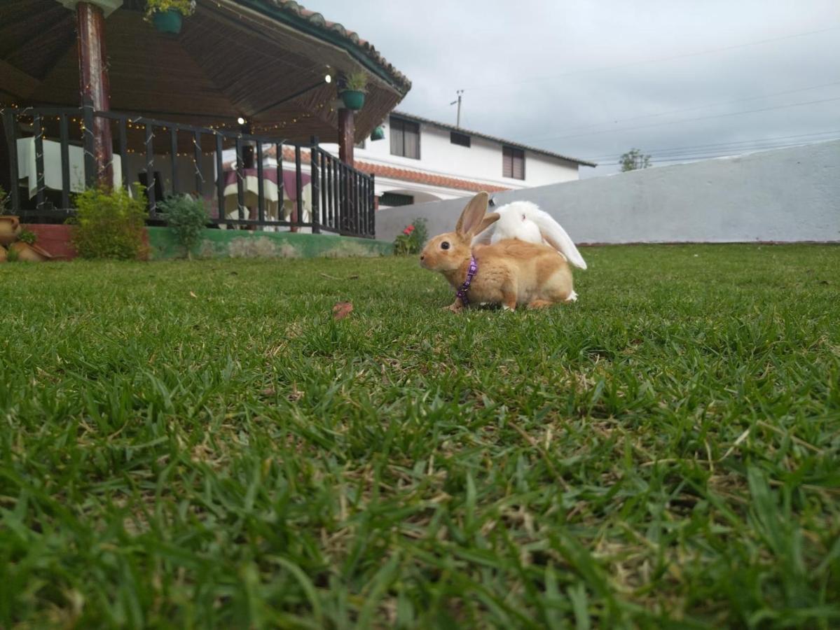 Hotel Quinta Winay à Yaruqui Extérieur photo